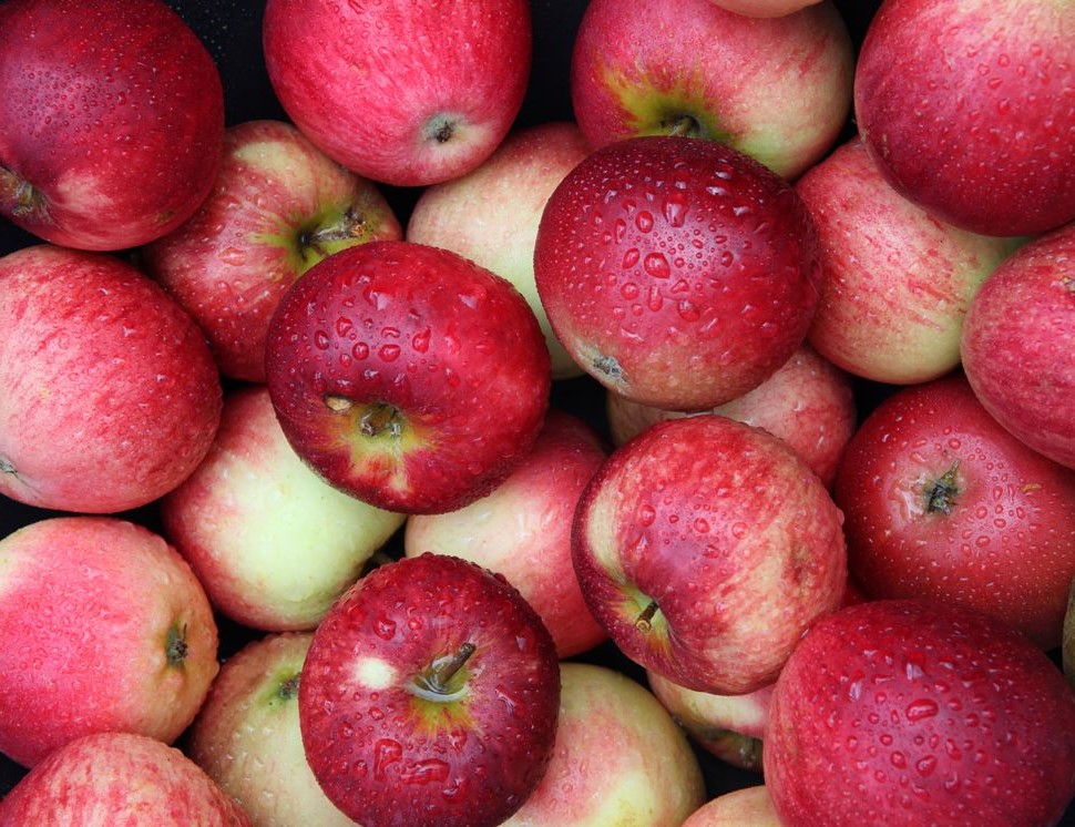 manzanas |  10 alimentos con casi cero calorías |  Su belleza