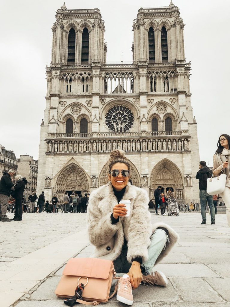 Catedral de Notre-Dame |  8 mejores lugares para visitar en París |  Su belleza