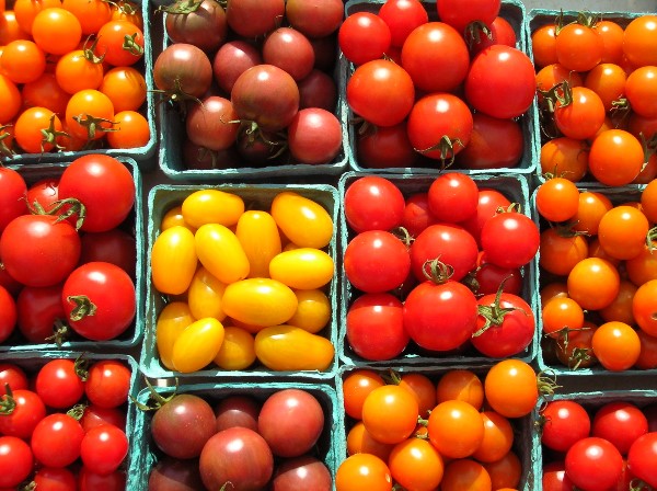 Tomates |  12 alimentos que estás almacenando incorrectamente |  Su belleza