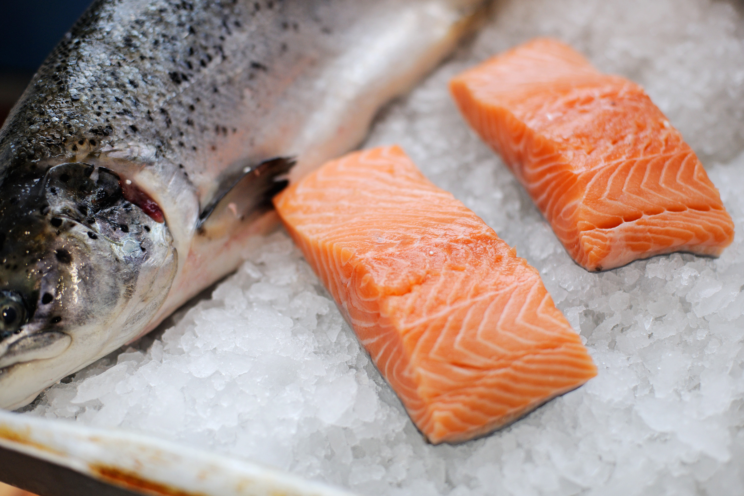 Gran fuente de Omega-3 |  7 beneficios para la salud del salmón |  Su belleza