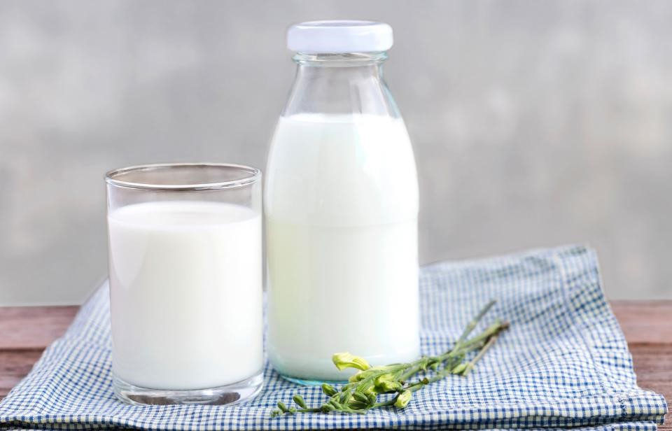 Leche o sustituto alternativo |  10 cosas que siempre debes tener en tu refrigerador |  Su belleza