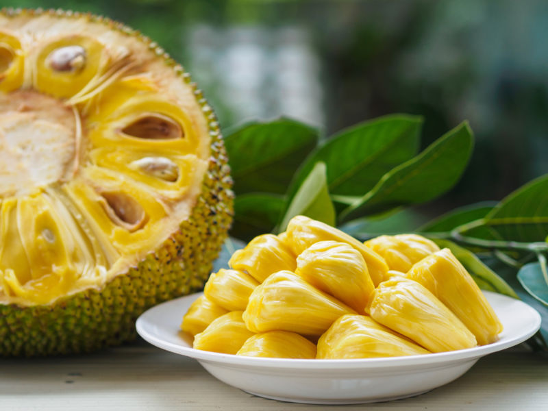 Antioxidantes de Jackfruit |  9 datos que debe saber sobre la jaca que se relame los labios |  Su belleza
