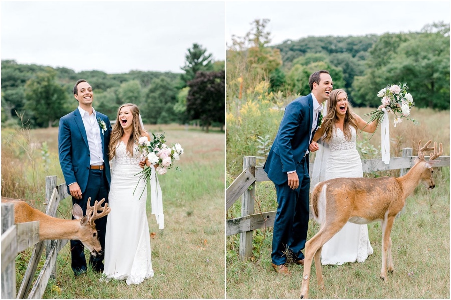Una sesión de fotos de boda para recordar es interrumpida por un ciervo #2 |  Su belleza