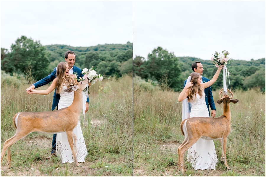 Una sesión de fotos de boda para recordar es interrumpida por un ciervo #5 |  Su belleza