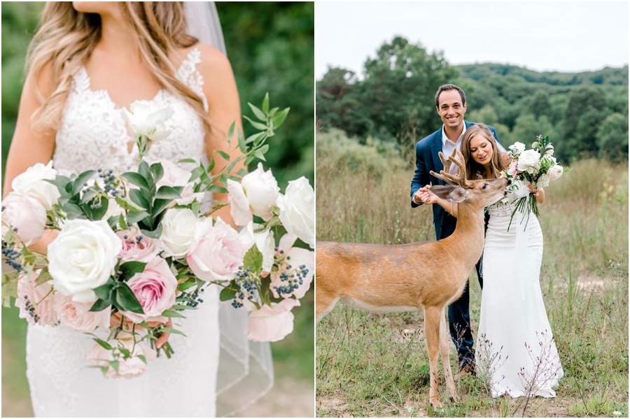 Una sesión de fotos de boda para recordar es interrumpida por un ciervo #6 |  Su belleza