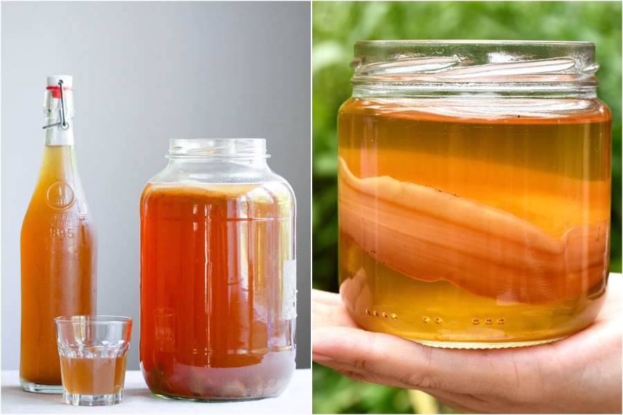 Kombucha |  Su belleza