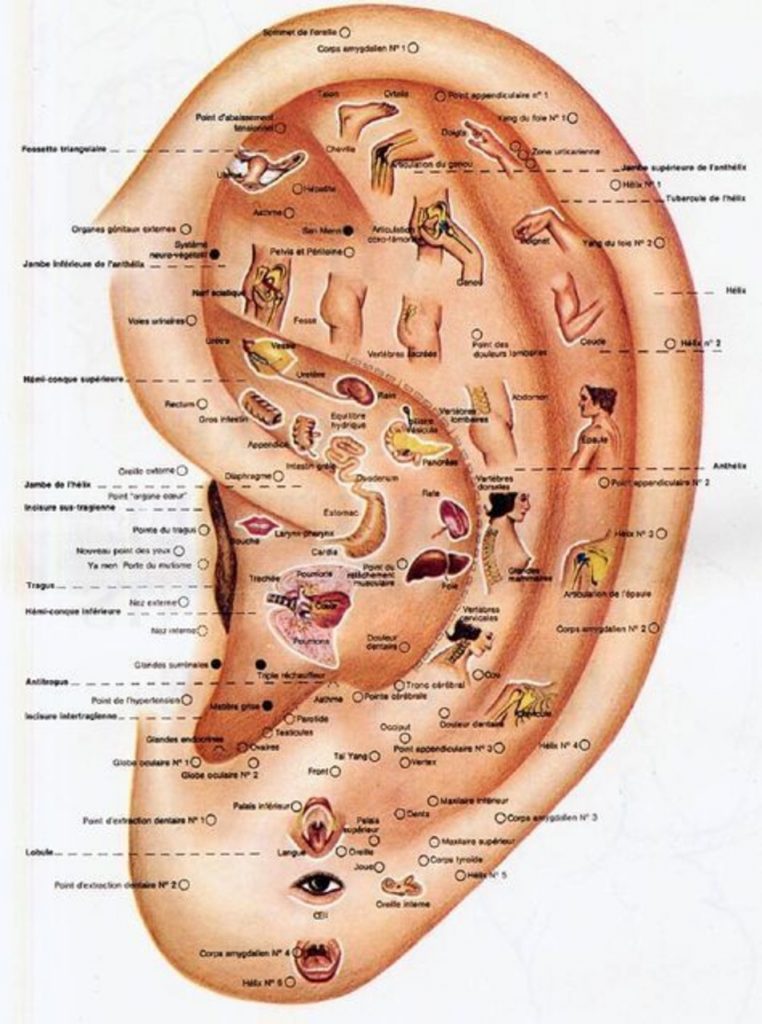   Daith piercing y ansiedad |  El piercing Daith: 8 datos que harán que quieras hacerte uno |  Su belleza