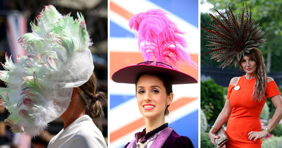 Flores por todas partes, plumas en abundancia |  Su belleza