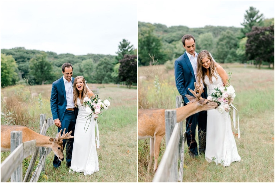 Una sesión de fotos de boda para recordar es interrumpida por un ciervo #1 |  Su belleza