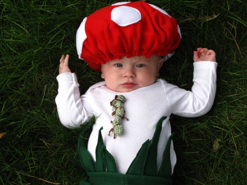 Disfraz de champiñón bebé: ideas divertidas para disfraces de Halloween para niños