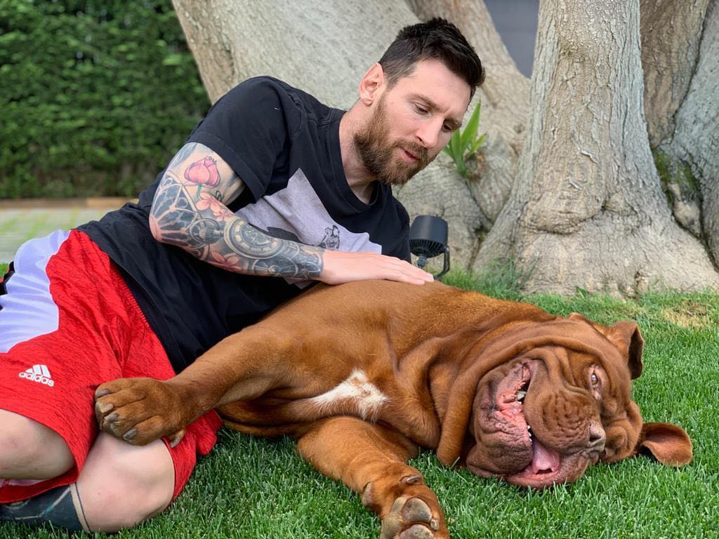 Lionel Messi |  14 celebridades más seguidas en Instagram en 2019 |  Su belleza