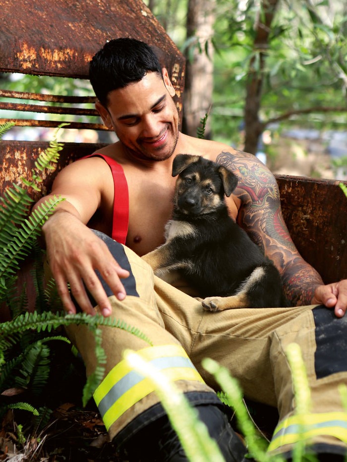 “Calendario de perros” #2 |  Bomberos y animales australianos calientes en el calendario benéfico 2020 Melt Our Hearts |  Su belleza