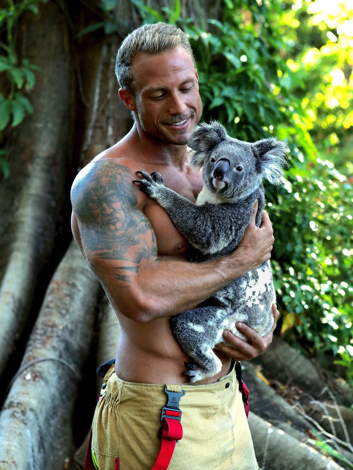 Pequeño alboroto de koala|  Bomberos y animales australianos calientes en el calendario benéfico 2020 Melt Our Hearts |  Su belleza