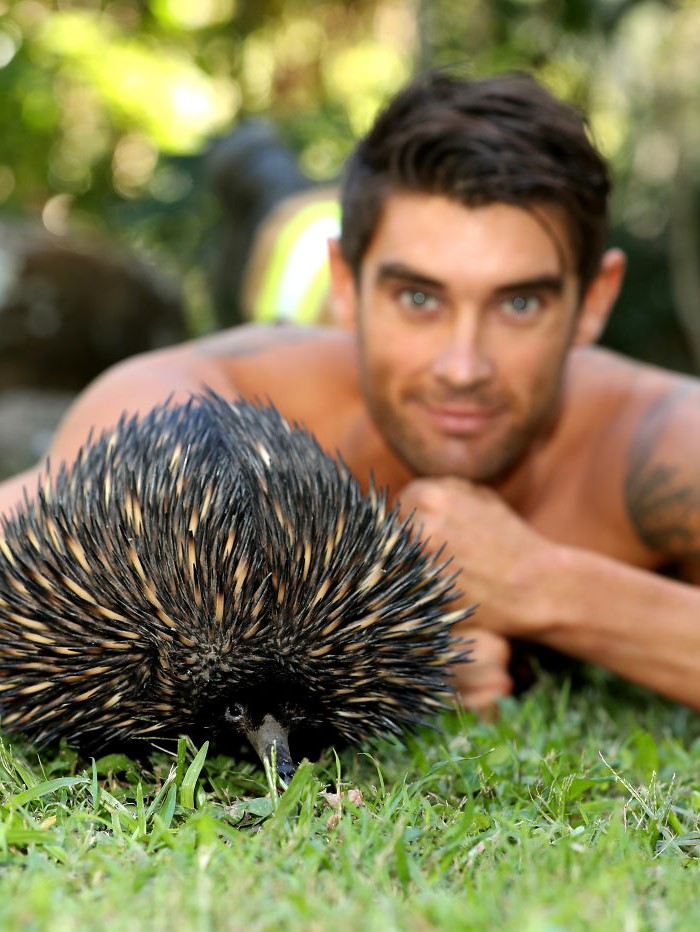 Fotos de calendarios Rast |  Bomberos y animales australianos calientes en el calendario benéfico 2020 Melt Our Hearts |  Su belleza