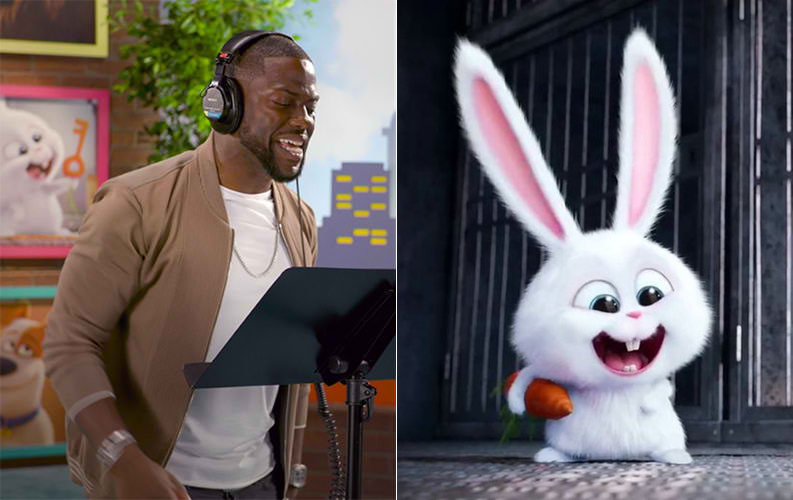 Hizo una voz en off para Snowball en la franquicia Secret Life Of Pets |  15 hechos de Kevin Hart que te sorprenderán |  Su belleza