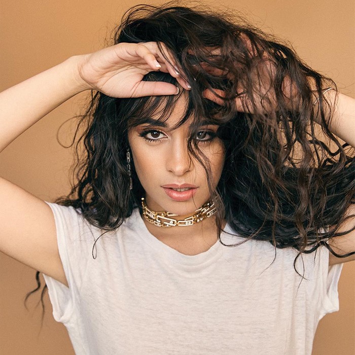 12 millones netos |  15 datos de Camila Cabello que no sabías |  Su belleza