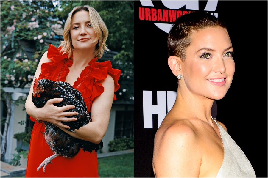 kate hudson |  15 estrellas que se raparon la cabeza y la lucieron |  Su belleza