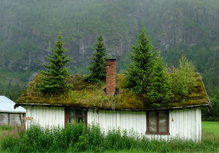 asombroso-cuento-de-hadas-techos-de-hierba-de-escandinavia-08