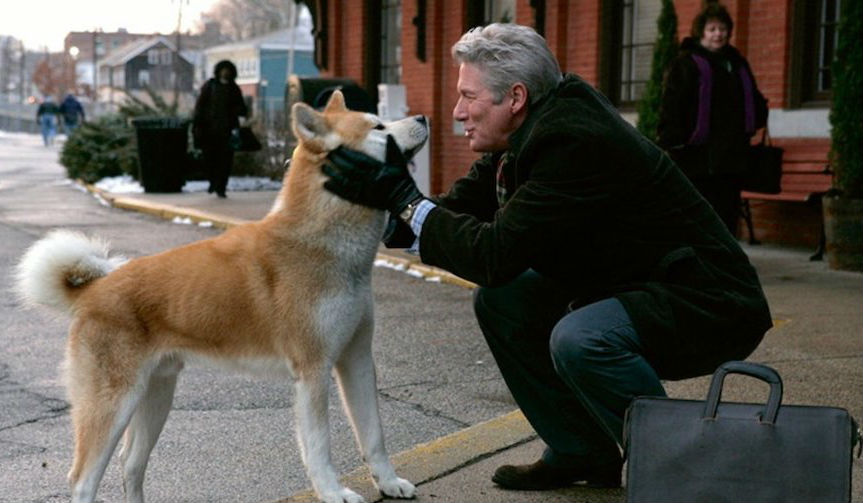 Hachi: el cuento de un perro |  10 películas que definitivamente te harán llorar |  Su belleza