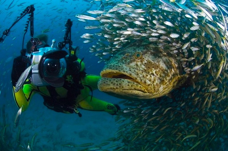 los-arrecifes-de-coral-mas-impresionantes-que-definitivamente-tienes-que-visitar-04