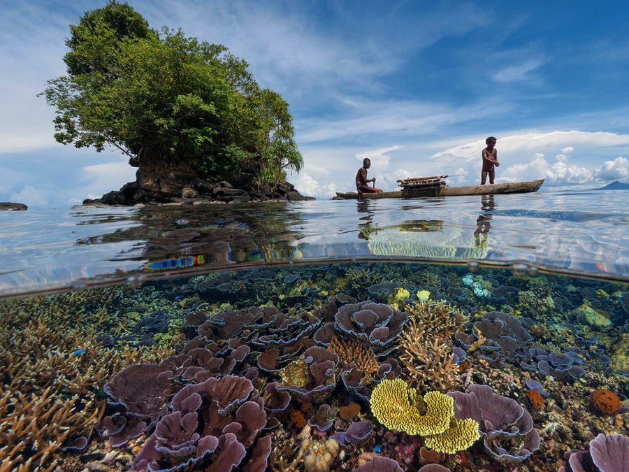 los-arrecifes-de-coral-mas-impresionantes-que-definitivamente-tienes-que-visitar-07