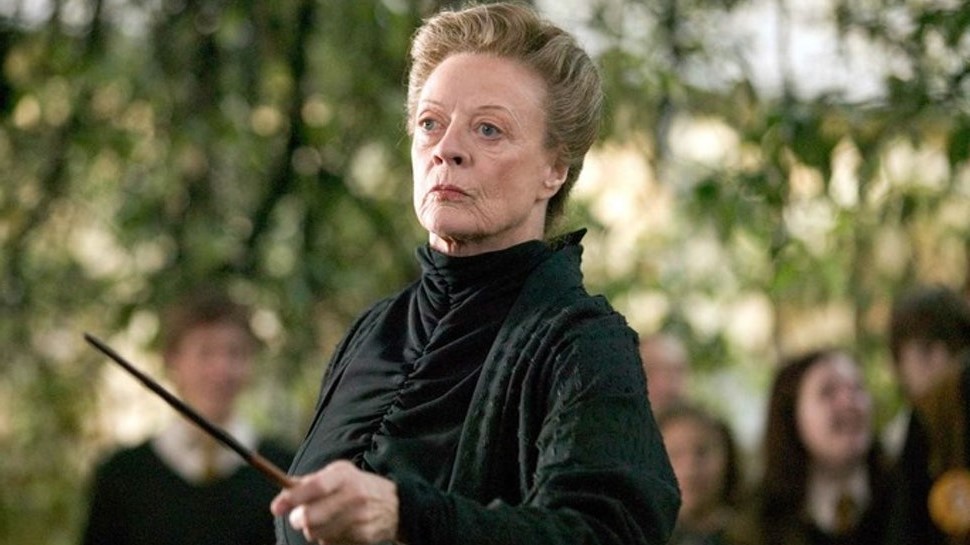   Profesora Minerva McGonagall, Harry Potter |  10 mejores personajes femeninos de la literatura |  Su belleza