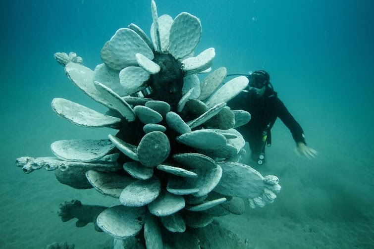 museo_atlantico_lanzarote_16