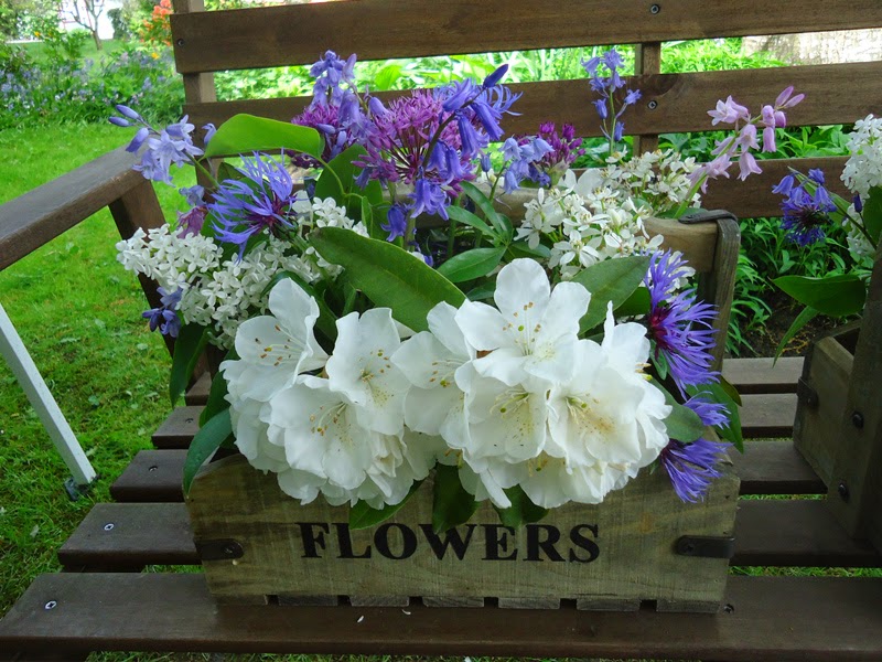 plantas para el dia de la madre