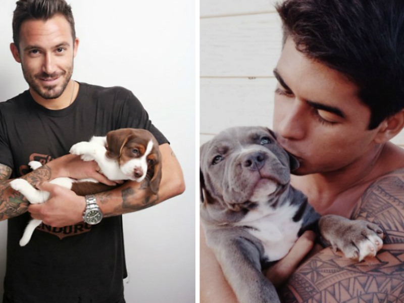 No puedo evitar presionar 'Me gusta' para - Lambers, Twee y Cute Guys With Pups