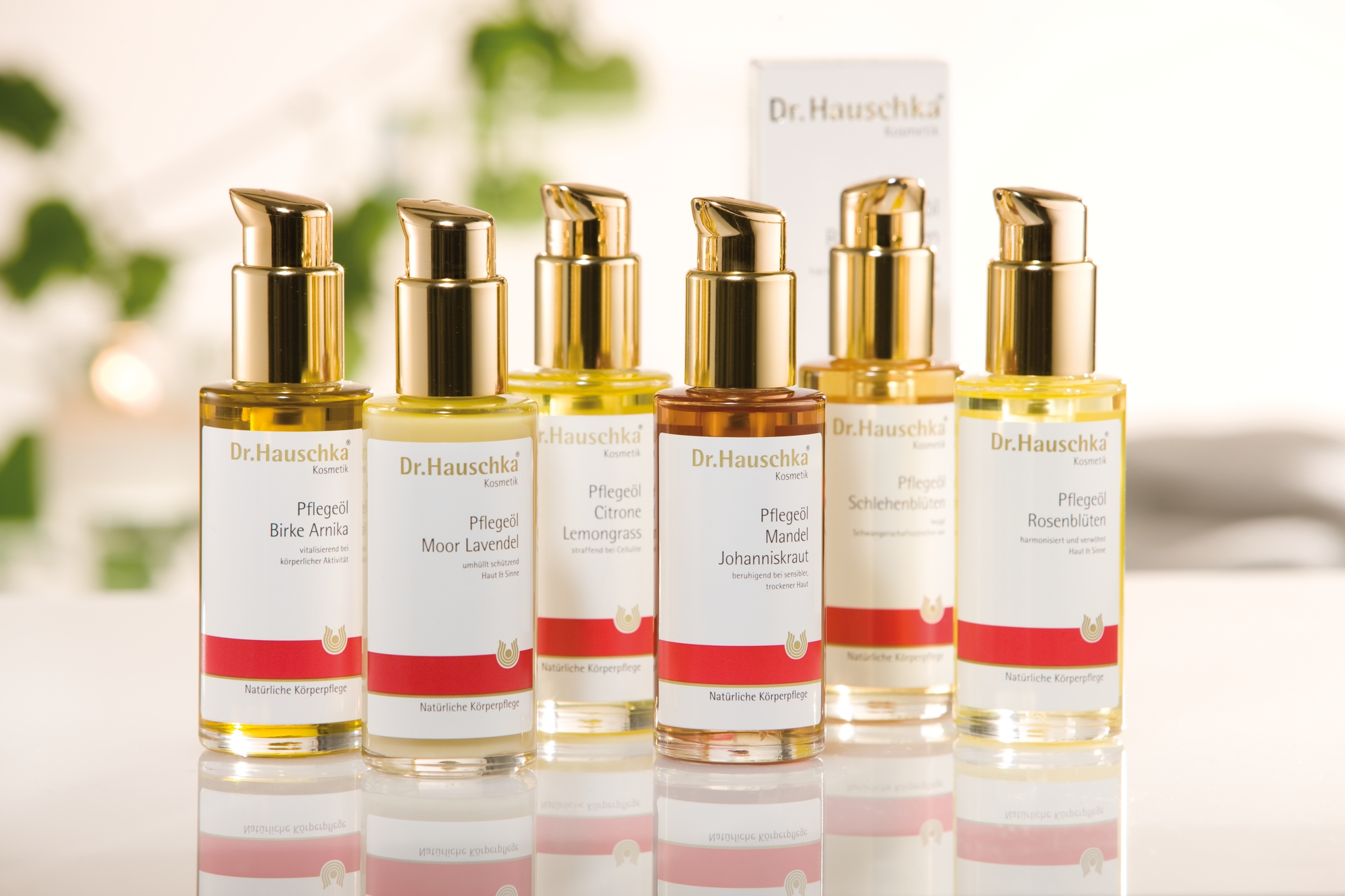 Las mejores marcas de cuidado natural de la piel - Dr. Hauschka