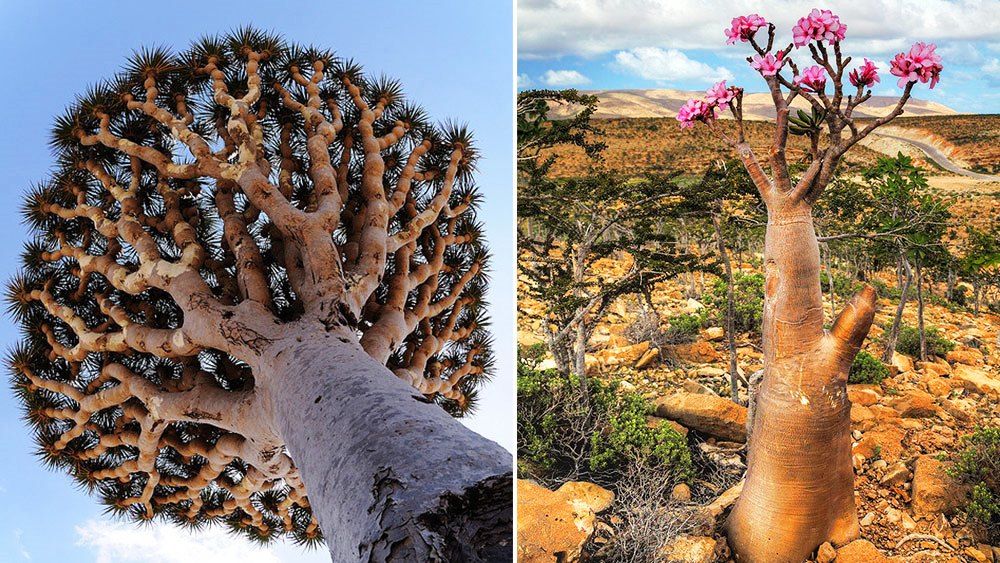 Lugares emocionantes en la Tierra